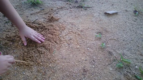 Sand play Stock Footage 145844958