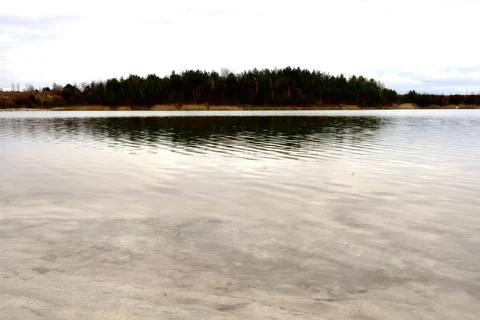 Sand quarry pond on a background of pine forest. Stock Photos