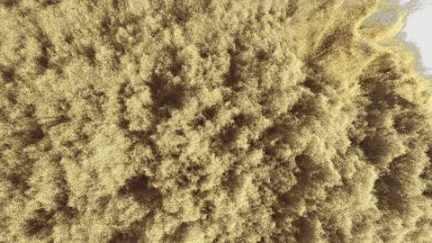 Sand Realistic Video stock 162373537