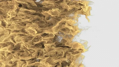Sand Realistic Transition Stock Footage 219927631