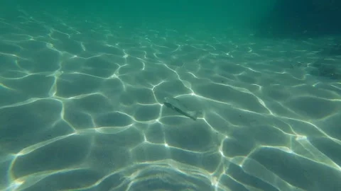 Sand ripple underwater 스톡 동영상 260885349