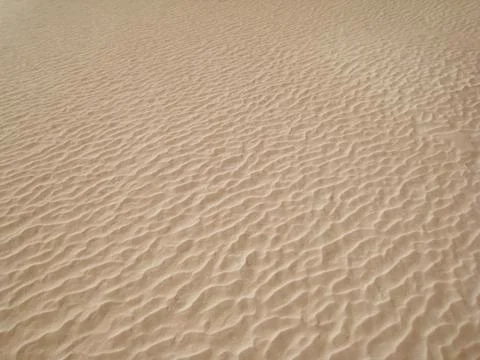 Sand ripples Fotos Stock