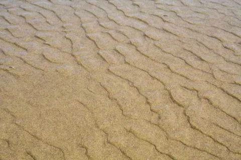 Sand Ripples 写真素材