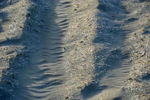 Sand ripples with scattered seashells on beach at golden hour Stock Photos