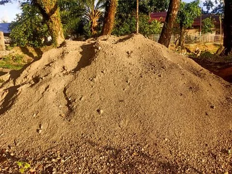 With sand from the river Foto stock