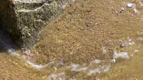 Sand rocks pebbles mussels shells waves Kalim Beach Phuket Thailand. 動画素材 322720364