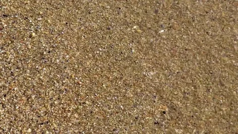 Sand rocks pebbles mussels shells waves Kalim Beach Phuket Thailand. 動画素材 322720439