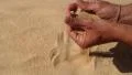 Sand running through the hands HD Footage