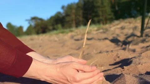 Sand running through hands of man at the beach. Stock Footage 281725921
