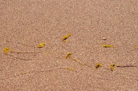 Sand, sand texture, sand texture, download photo, background, background, bea Stock Photos