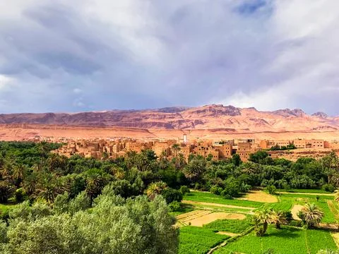 Sand Scene in Morocco Stock Photos