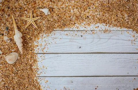 Sand seashells background. Summer time concept with sea shells and starfish on Stock Photos