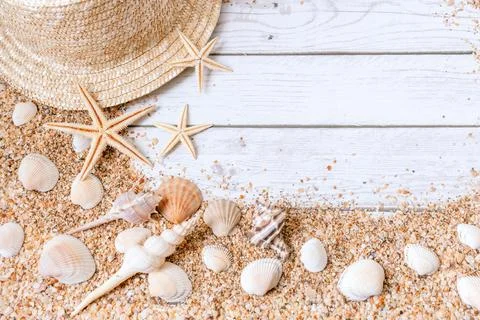 Sand seashells background. Summer time concept with sea shells and starfish on Stock Photos