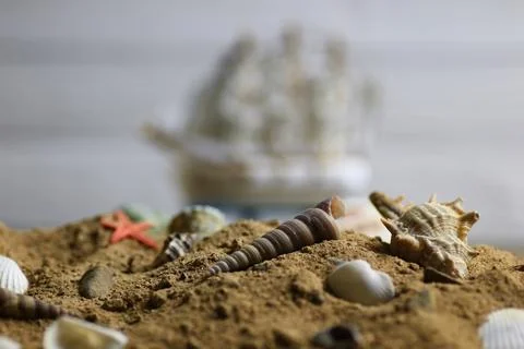 Sand shell and sail in sea Stock-Fotos