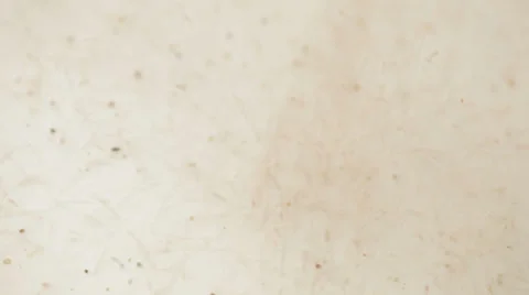 Sand sifting in a pile Stock Footage 35574284