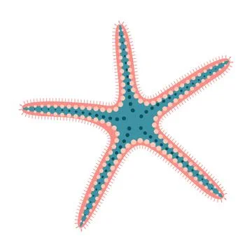 Sand Sifting Starfish flat icon. Sea animal cartoon style. Echinoderm Stock Illustration