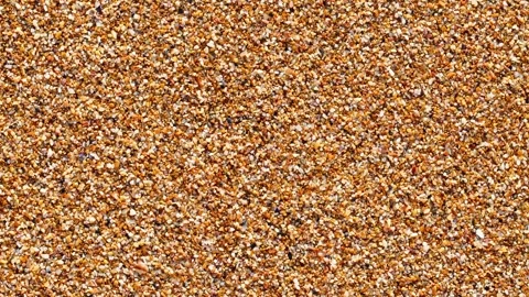 Sand from small crushed parts of shells Stock Footage 310800828
