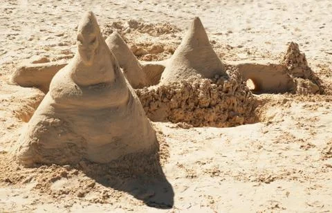 Sand snake Stock Photos