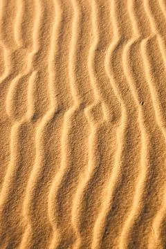 Sand snakes Foto stock