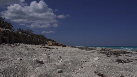 A sand so refined with fragments of broken shells. The sea under a glowing Vídeo Stock 305132286