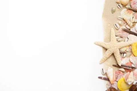 Sand starfish seashell on white background Foto stock