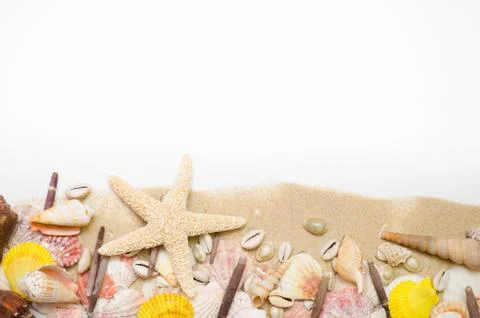 Sand starfish seashell on white background Foto stock