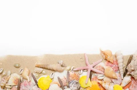 Sand starfish seashell on white background Foto stock