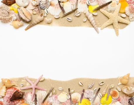 Sand starfish seashell on white background Foto stock