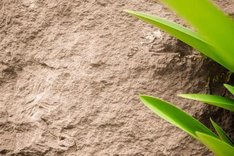 Sand stone texture background Stock Photos