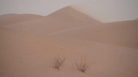 A sand storm Stock Footage 49421959