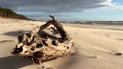 Sand storm Video stock 195298498