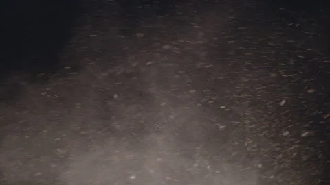 Sand Storm Video stock 249284931