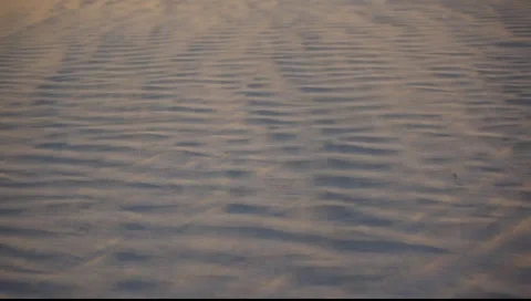 Sand storm over dunes Stock Footage 1806189