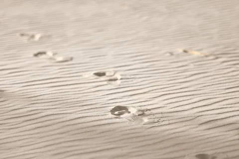 Sand surface with small footprints creating natural patterns under sunlight.. Stock Photos