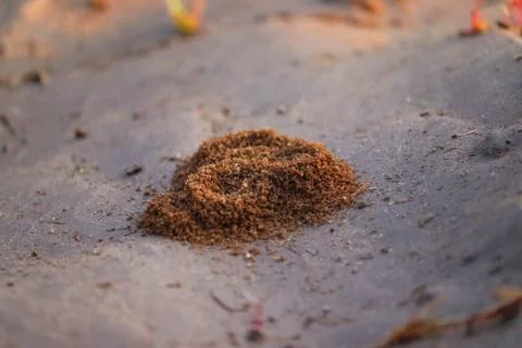 Sand texture and pattern for design use Stock Photos