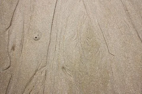 Sand texture background on the beach Fotos Stock