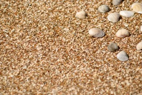 Sand texture, background Stock Photos