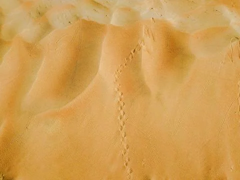 Sand texture background Stock Photos