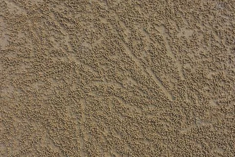 Sand texture background with sand balls Stock Photos