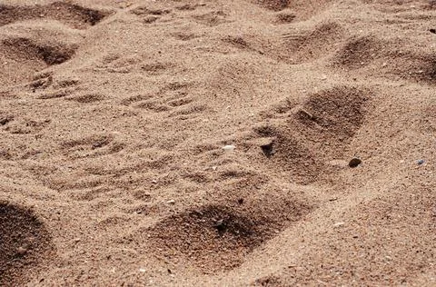 Sand texture background. Top view Stock Photos