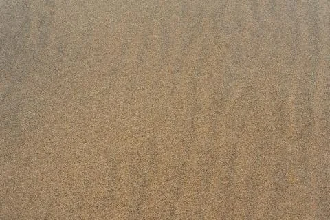 Sand texture, beach background Stock Photos