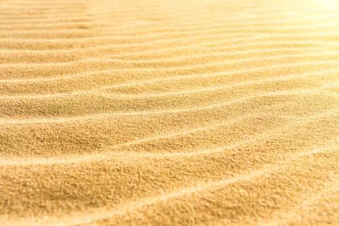 Sand texture on the beach 스톡 사진