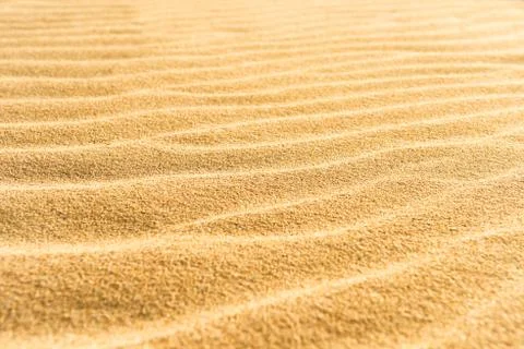 Sand texture on the beach Stock Photos