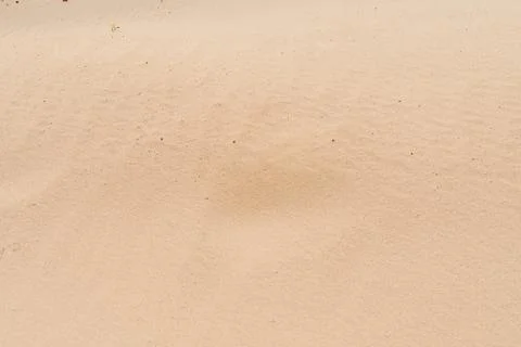 Sand Texture. Brown sand. Background from fine sand. Sand background Fotos de archivo