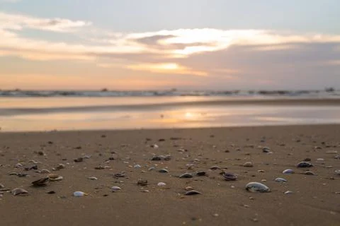 Sand texture close up Stock Photos
