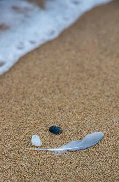 Sand texture. Copy space. Top view. Flat lay. Feather of a bird on wet sand c 스톡 사진