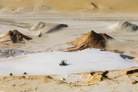 Sand texture in the desert. Sand waves Stock Photos