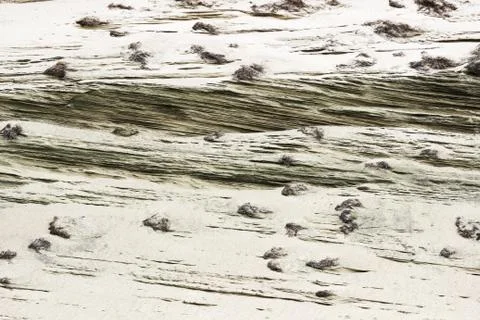 Sand texture with grass Stock Photos