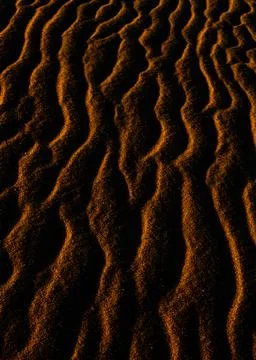 Sand texture outlined by the wind. Wavy shapes of light and shadow. 写真素材