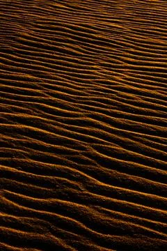 Sand texture outlined by the wind. Wavy shapes of light and shadow. 写真素材